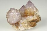 Cactus Quartz (Amethyst) Crystal Cluster - South Africa #201710-1